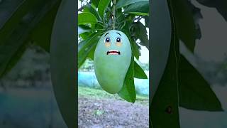 Mango Infection Surgery 🧑‍⚕️ fruit surgery shorts fruitsurgery Fruitfix54 [upl. by Nylkoorb]