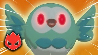 I Hunted the RAREST Shiny Rowlet [upl. by Atselec212]