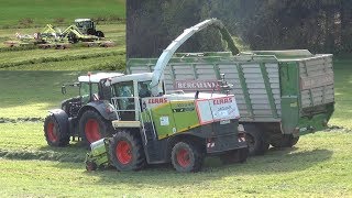 Claas Liner 4000 schwadet für Claas Jaguar 890 Speedstar  LU Ruhland  Gras häckseln [upl. by Sly211]