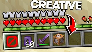 Why Im Obtaining CREATIVE Mode in This Minecraft SMP [upl. by Beichner]