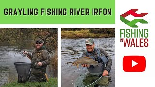 Grayling Fishing On The River Irfon Wales [upl. by Dalury33]