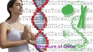 Structure of GeneGene Expression Demystified Dive Into the World of DNA [upl. by Nuaj]