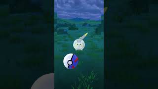 Caching a wild Togedemaru pokemon go pokemon pokemongo togedemaru [upl. by Josselyn230]