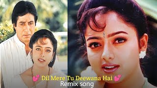 Dil Mere Tu Deewana Hai Female Remix Song  Sooryavansham Songs  Amitabh Bachchan Soundarya [upl. by Nedap]