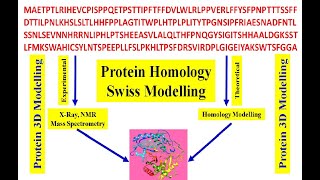 Protein homology  Swiss Modeling  how to predict 3D structure of your protein Protein 3D modeling [upl. by Niamor584]