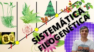 Sistemática filogenética [upl. by Akerboom]