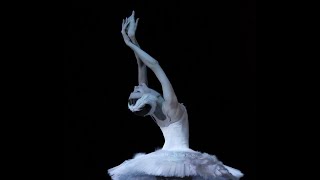 Svetlana Zakharova in The Dying Swan [upl. by Nyrret]