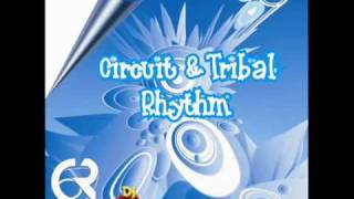 Tribal Mix 2010 [upl. by Yecnay870]