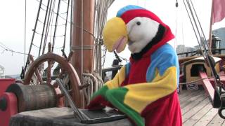 HMB Endeavour  Lost parrot on Facebook [upl. by Alet]