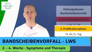 Bandscheibenvorfall Lendenwirbelsäule LWS  Heilung Teil 2 von 3 [upl. by Nahgen]