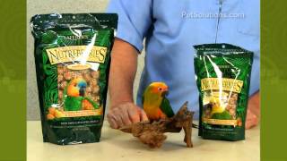 PetSolutions Lafebers Nutri Berries Tropical Fruit Flavors for Pet Birds [upl. by Sorce]