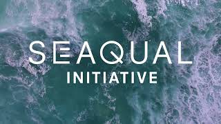 SEAQUAL INITIATIVE 2022 [upl. by Ellissa648]