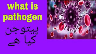 what is pathogen پیتوجن کیا ھے in easy words by amjad ali  science lecture [upl. by Atreb]