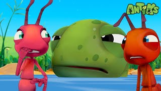 NEW Antiks Episode  Hooked  Funny Cartoons For Kids [upl. by Holmes]