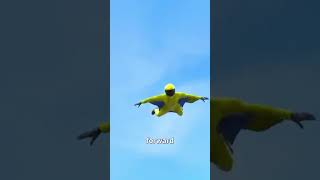 What happens when you fly with a wingsuit  melon playground [upl. by Yraillih]