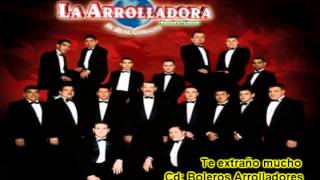 Te extraño mucho  La Arrolladora Banda el Limón [upl. by Desiri]