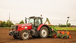 Massey Ferguson 6480 mais zaaien 2014 Demeyer uit Wakken [upl. by Vallo803]