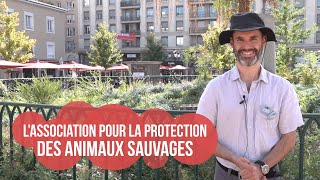 Protection des animaux sauvages  quelle place pour le vivant [upl. by Ingham911]