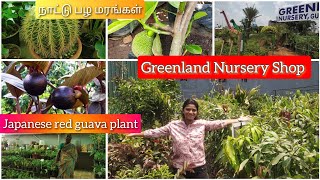 Wonderful day with Greenland Nursery Garden One of the best Garden in Chennai greenlandnursery [upl. by Wurster]