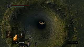 Dark Souls Secret Shortcut In Firelink Shrine [upl. by Ytissahc]