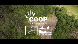 Life Coop Cortaderia Project Video EN [upl. by Lunt]