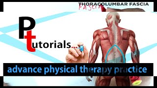 Thoracodorsal fascia  Anatomy Tutorial   Thoracolumbar Fascia  10 min Tutorial [upl. by Mehalick]