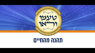 טעימה 538  הרב שמעון שפיצר  תהנה מהחיים [upl. by Aitra]