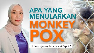 Binatang apa saja pembawa virus MonkeyPox [upl. by Aenet]