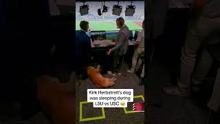 Kirk Herbstreit’s dog was sleeping during LSU vs USC 🤣 via espn [upl. by Sharai]