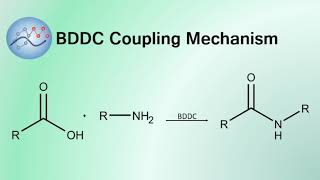 BDDC Coupling Mechanism  Organic Chemistry [upl. by Laumas]