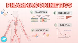 Pharmacokinetics Absorption Distribution Metabolism amp Excretion [upl. by Ssenav]