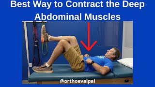 Best Way to Contract the Deep Abdominal Muscles [upl. by Richart]