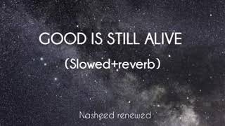 SlowedReverb Good is still alive  La Yazal Alkhair  Beautiful Arabic nasheed [upl. by Nosecyrb286]