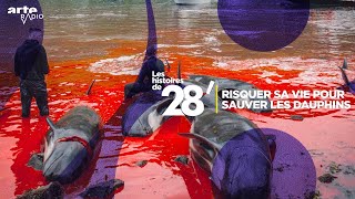 Risquer sa vie pour sauver les dauphins  Les histoires de 28  ARTE Radio Podcast [upl. by Nalyak686]