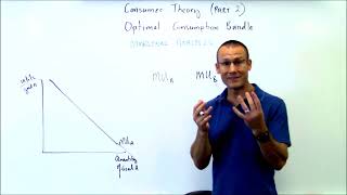 Utility Maximization The Optimal Consumption Bundle Topic Consumer Choice [upl. by Betteann]