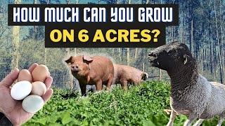 How to Plan a 6Acre Homestead For Maximum Production [upl. by Bacon866]