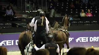 Au cœur du Jumping International de Bordeaux 8 – FEI DRIVING WORLD CUP FINAL [upl. by Burch]