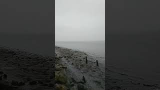 A murky Ferriby foreshore East Yorkshire [upl. by Obmar]