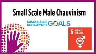 What Is Small Scale Male Chauvinism [upl. by Droffilc]