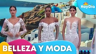 La tendencia en trajes de novia más bellos de la temporada  Hoy Día  Telemundo [upl. by Gaut]