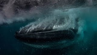 Man Nearly Swallowed By Whale CAUGHT ON CAMERA [upl. by Wasson]