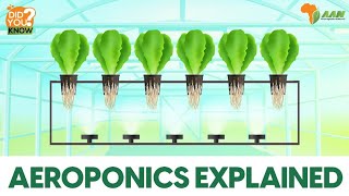 Aeroponics Farming  A Modern SoilFree Farming Method  Did You Know [upl. by Osy]