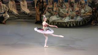 20092020 Daria Ionova as Gulnara debut variation and coda Le Corsaire Maxim Zyuzin Lankedem [upl. by Akihsal753]