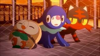 RowletLitten and Popplio  AMV  Crazy Kids [upl. by Feenah]