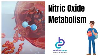 Metabolism of Nitric Oxide Lecture Video [upl. by April]