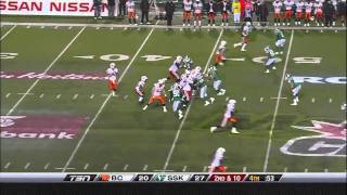 CFL West SemiFinal BC 38 Saskatchewan 41 [upl. by Mikiso]