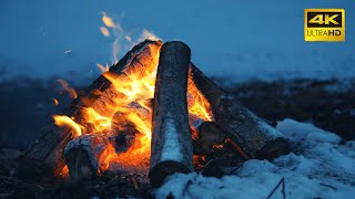 🔥 A Crackling Campfire During a Windy Winter Night 10 HOURS 50FPS 🔥 Cozy Fireplace 4K for Sleeping [upl. by Aiuqenehs]