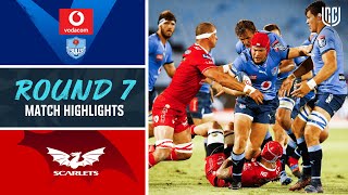 Vodacom Bulls v Scarlets  Match Highlights  Round 7  United Rugby Championship [upl. by Atteroc792]