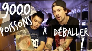 9000 POISSONS DAQUARIUM À DÉBALLER  VLOG TOOPET [upl. by Secnarfyram836]