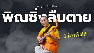 พิณทิพย์อุดร  พิณซิ่งลืมตาย 2 [upl. by Wedurn]